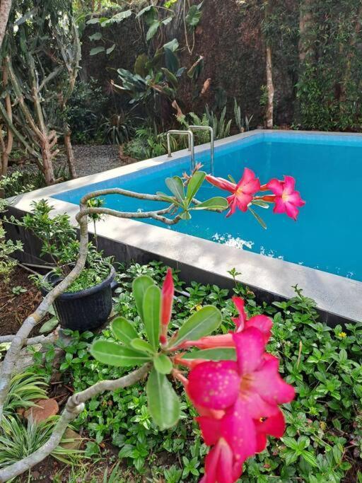 Villa Wonderful Felice *