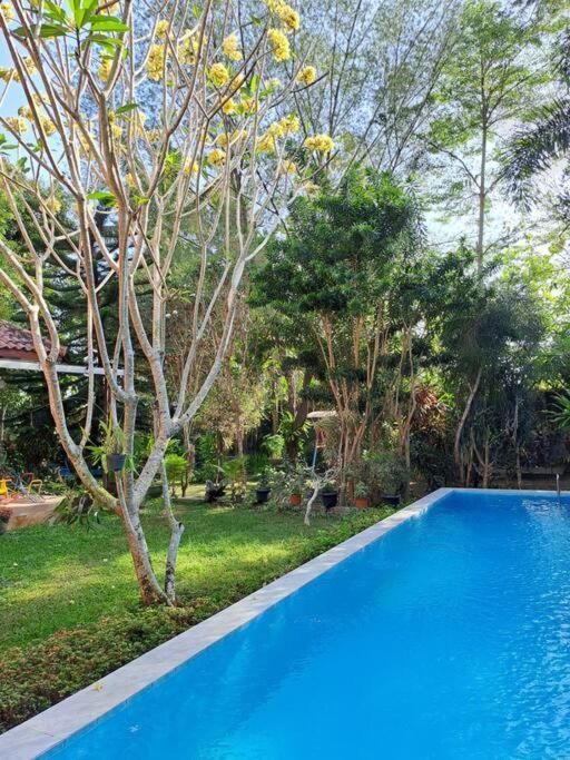 Wonderful Felice Villa Yogyakarta
