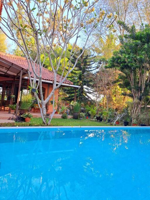 Villa Wonderful Felice *