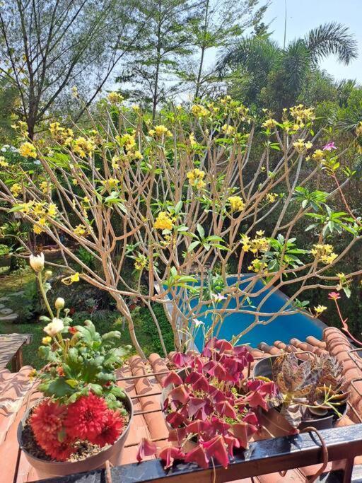Villa Wonderful Felice