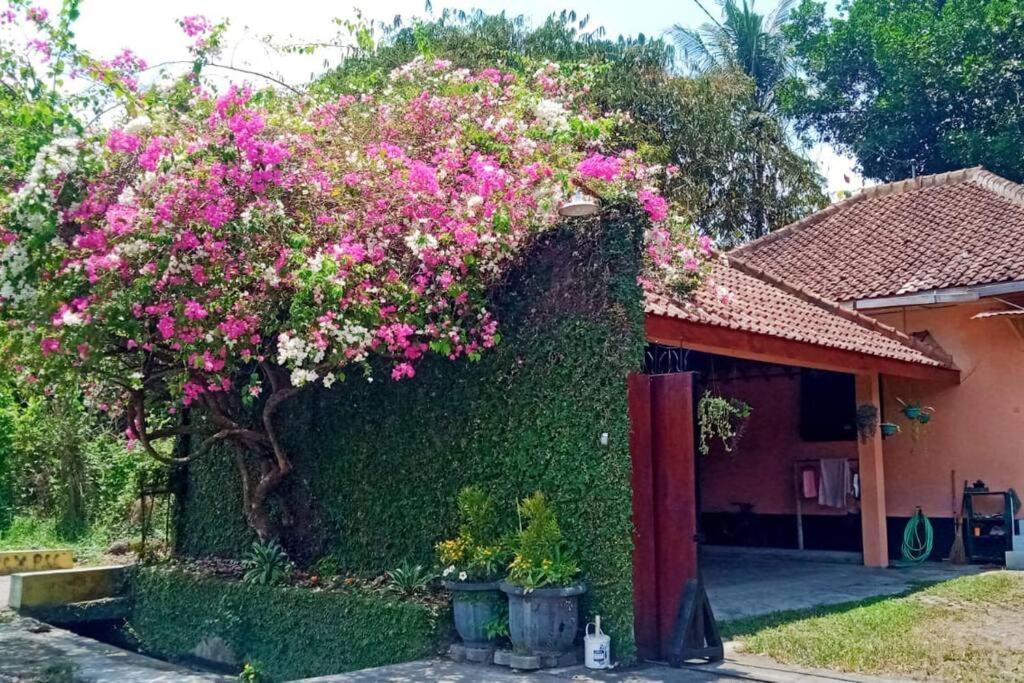 Wonderful Felice Villa