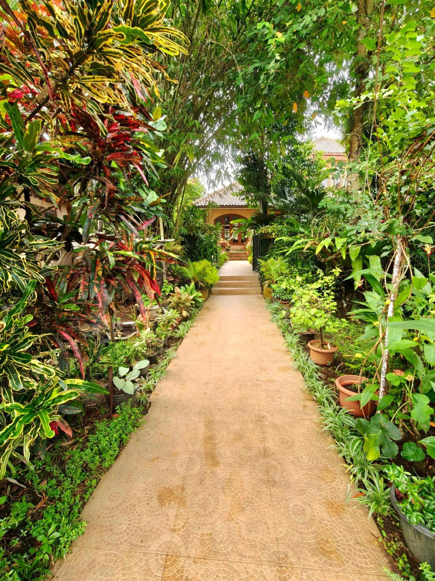 Wonderful Felice Villa